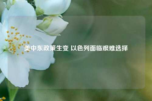 美中东政策生变 以色列面临艰难选择  第1张
