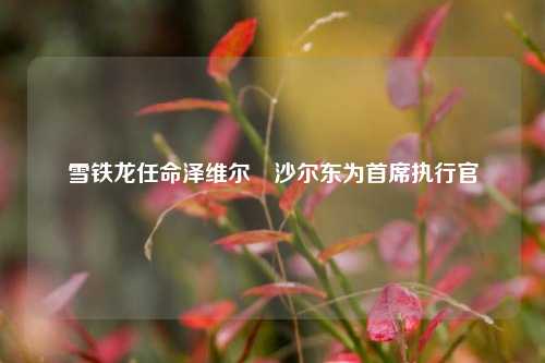 雪铁龙任命泽维尔・沙尔东为首席执行官  第1张