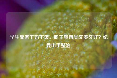 学生靠老干妈下饭、职工餐肉类又多又好？纪委出手整治  第1张