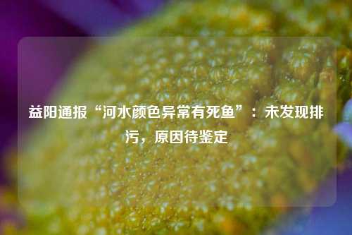 益阳通报“河水颜色异常有死鱼”：未发现排污，原因待鉴定  第1张