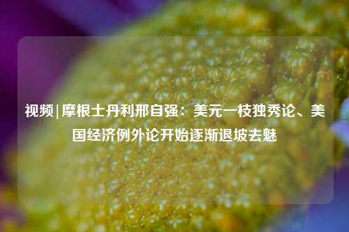 视频|摩根士丹利邢自强：美元一枝独秀论、美国经济例外论开始逐渐退坡去魅  第1张