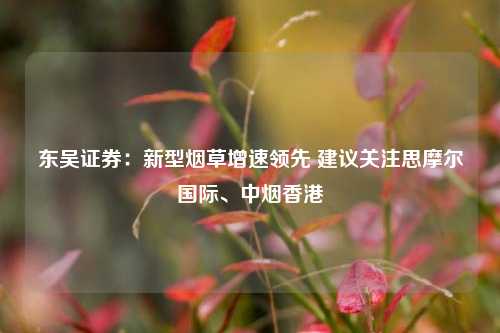 东吴证券：新型烟草增速领先 建议关注思摩尔国际、中烟香港  第1张