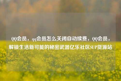 QQ会员，qq会员怎么关闭自动续费	，QQ会员，解锁生活新可能的秘密武器亿乐社区SUP货源站  第1张
