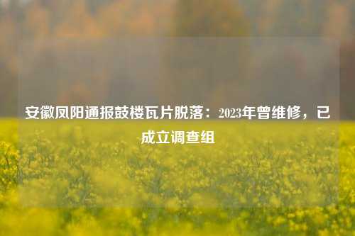 安徽凤阳通报鼓楼瓦片脱落：2023年曾维修	，已成立调查组  第1张