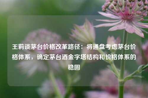 王莉谈茅台价格改革路径：将通盘考虑茅台价格体系，确定茅台酒金字塔结构和价格体系的稳固  第1张
