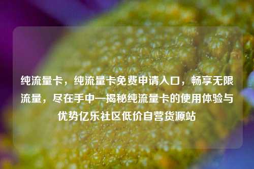 纯流量卡，纯流量卡免费申请入口，畅享无限流量，尽在手中—揭秘纯流量卡的使用体验与优势亿乐社区低价自营货源站  第1张