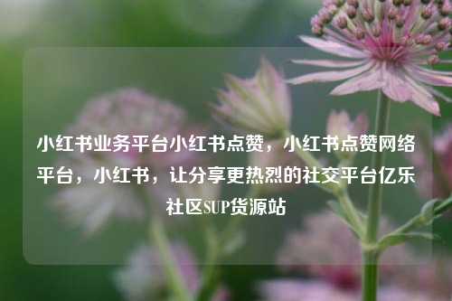 小红书业务平台小红书点赞，小红书点赞网络平台，小红书，让分享更热烈的社交平台亿乐社区SUP货源站  第1张