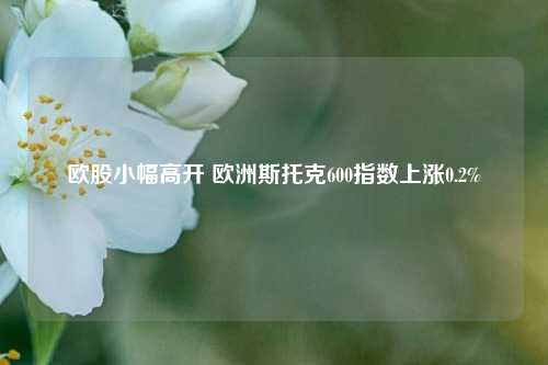 欧股小幅高开 欧洲斯托克600指数上涨0.2%  第1张
