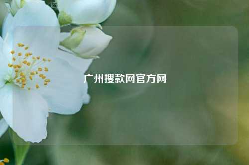 广州搜款网官方网  第1张