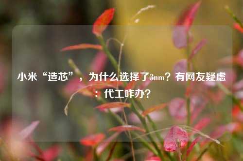 小米“造芯”，为什么选择了3nm？有网友疑虑：代工咋办？  第1张