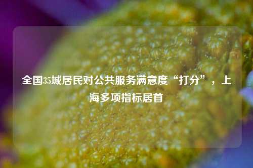 全国35城居民对公共服务满意度“打分”	，上海多项指标居首  第1张