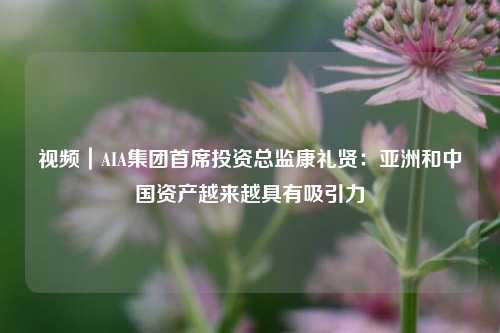 视频｜AIA集团首席投资总监康礼贤：亚洲和中国资产越来越具有吸引力  第1张
