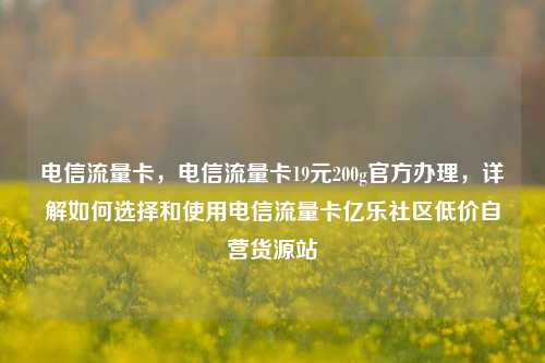 电信流量卡，电信流量卡19元200g官方办理，详解如何选择和使用电信流量卡亿乐社区低价自营货源站  第1张
