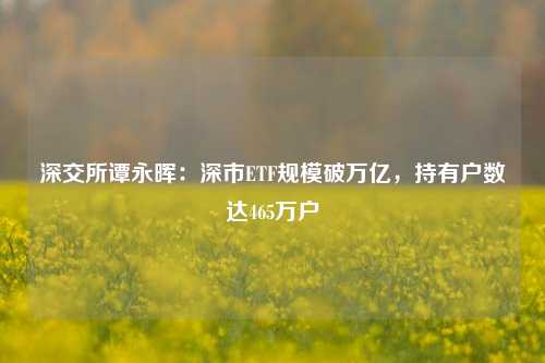 深交所谭永晖：深市ETF规模破万亿，持有户数达465万户  第1张