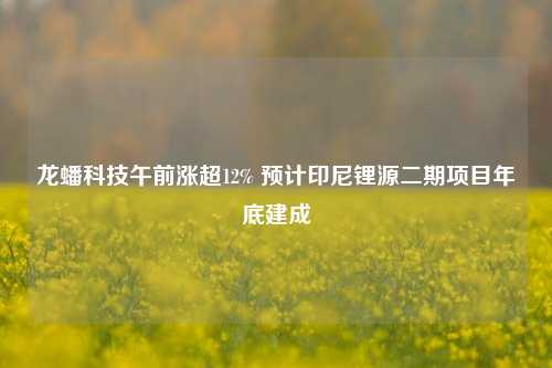 龙蟠科技午前涨超12% 预计印尼锂源二期项目年底建成  第1张