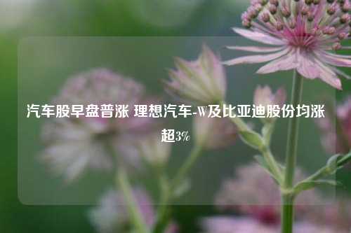 汽车股早盘普涨 理想汽车-W及比亚迪股份均涨超3%  第1张