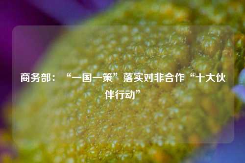 商务部：“一国一策”落实对非合作“十大伙伴行动”  第1张