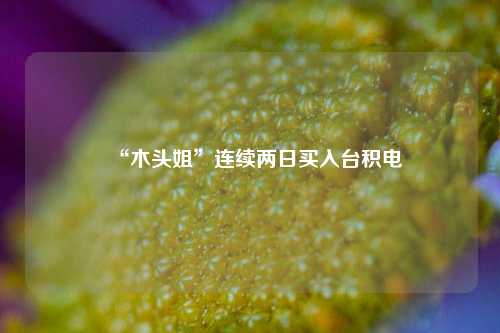 “木头姐	”连续两日买入台积电  第1张