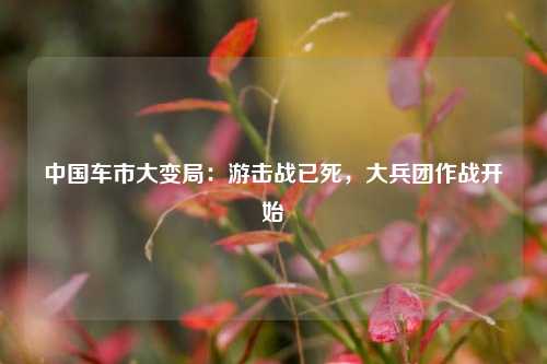 中国车市大变局：游击战已死	，大兵团作战开始  第1张