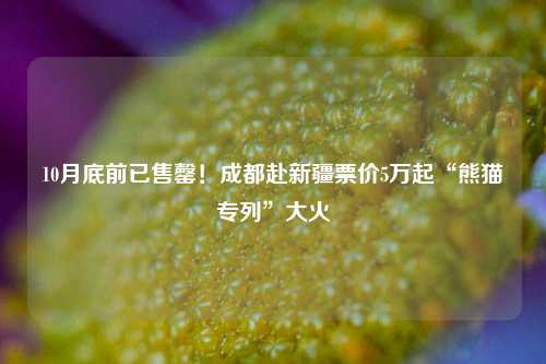 10月底前已售罄！成都赴新疆票价5万起“熊猫专列	”大火  第1张
