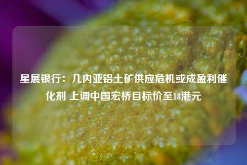 星展银行：几内亚铝土矿供应危机或成盈利催化剂 上调中国宏桥目标价至18港元  第1张