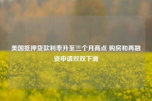 美国抵押贷款利率升至三个月高点 购房和再融资申请双双下滑  第1张