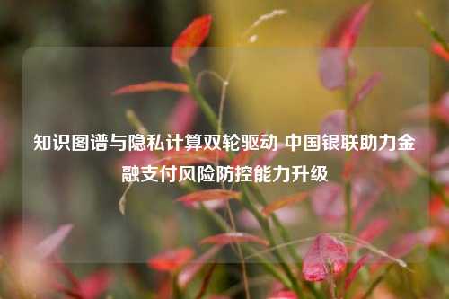 知识图谱与隐私计算双轮驱动 中国银联助力金融支付风险防控能力升级  第1张