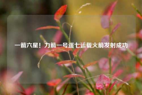 一箭六星！力箭一号遥七运载火箭发射成功  第1张