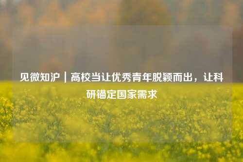 见微知沪｜高校当让优秀青年脱颖而出	，让科研锚定国家需求  第1张