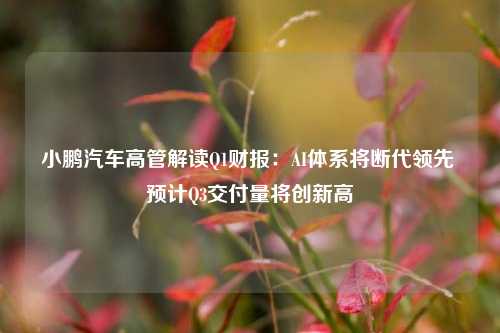 小鹏汽车高管解读Q1财报：AI体系将断代领先 预计Q3交付量将创新高  第1张