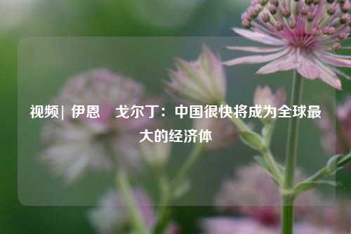 视频| 伊恩・戈尔丁：中国很快将成为全球最大的经济体  第1张