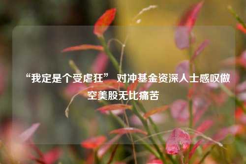 “我定是个受虐狂” 对冲基金资深人士感叹做空美股无比痛苦  第1张