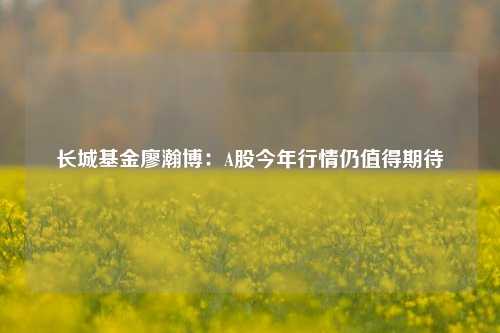 长城基金廖瀚博：A股今年行情仍值得期待  第1张