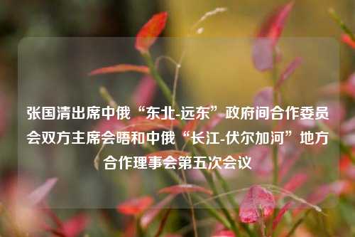 张国清出席中俄“东北-远东”政府间合作委员会双方主席会晤和中俄“长江-伏尔加河	”地方合作理事会第五次会议  第1张