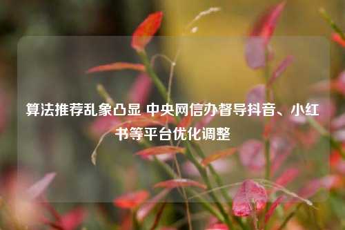 算法推荐乱象凸显 中央网信办督导抖音、小红书等平台优化调整  第1张