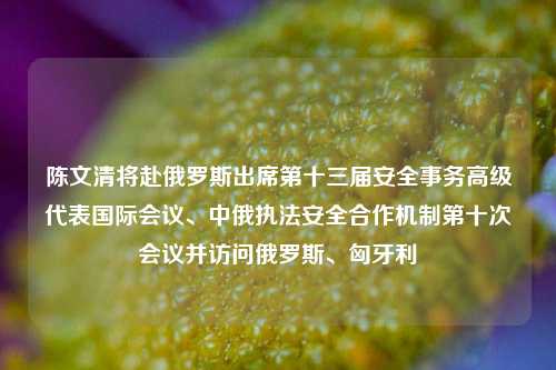 陈文清将赴俄罗斯出席第十三届安全事务高级代表国际会议、中俄执法安全合作机制第十次会议并访问俄罗斯	、匈牙利  第1张