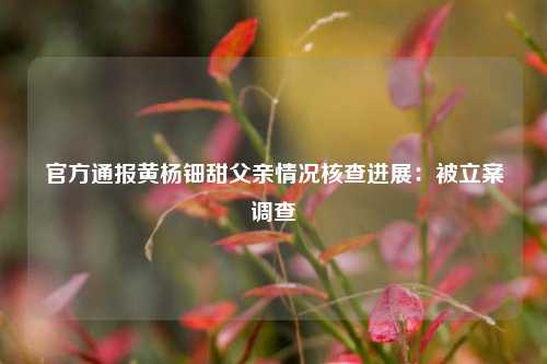 官方通报黄杨钿甜父亲情况核查进展：被立案调查  第1张