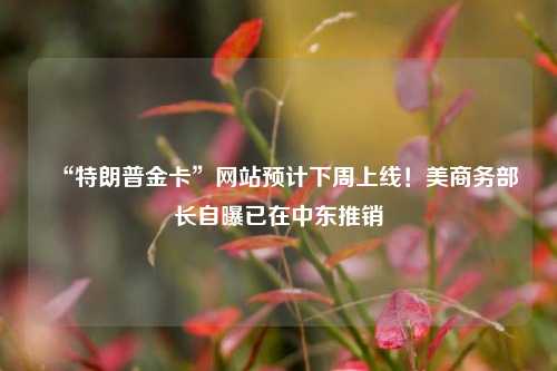 “特朗普金卡”网站预计下周上线！美商务部长自曝已在中东推销  第1张