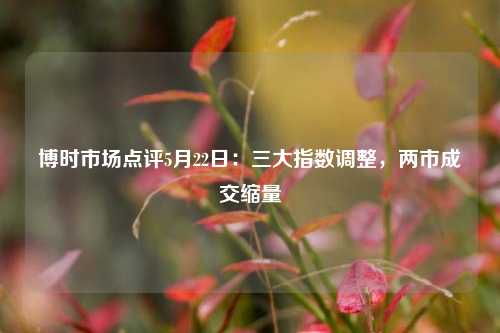 博时市场点评5月22日：三大指数调整	，两市成交缩量  第1张