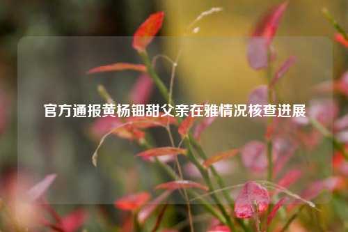 官方通报黄杨钿甜父亲在雅情况核查进展  第1张
