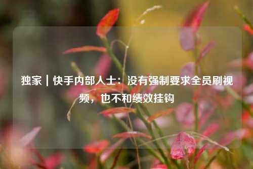 独家｜快手内部人士：没有强制要求全员刷视频，也不和绩效挂钩  第1张