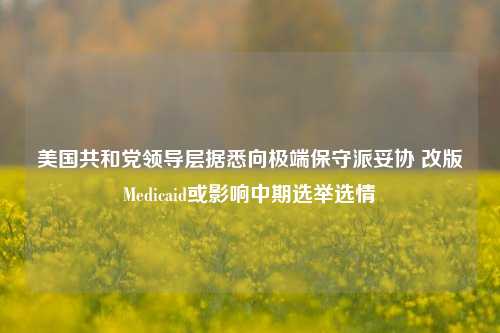 美国共和党领导层据悉向极端保守派妥协 改版Medicaid或影响中期选举选情  第1张