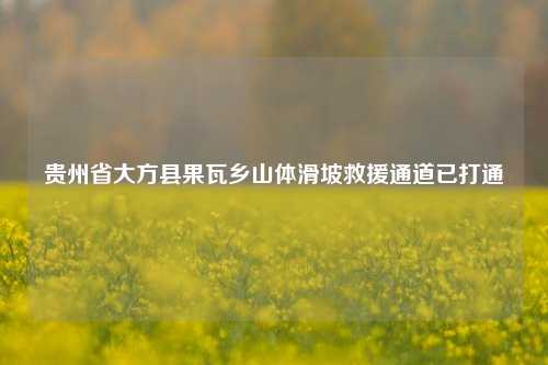 贵州省大方县果瓦乡山体滑坡救援通道已打通  第1张