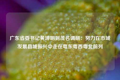 广东省委书记黄坤明到茂名调研：努力在市域发展县域振兴中走在粤东粤西粤北前列  第1张