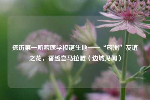 探访第一所藏医学校诞生地——“药洲”友谊之花	，香越喜马拉雅（边城见闻）  第1张