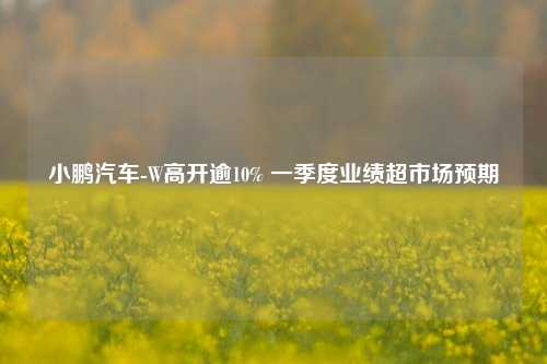 小鹏汽车-W高开逾10% 一季度业绩超市场预期  第1张