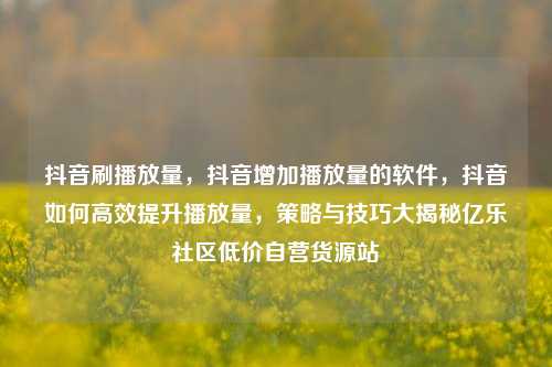 抖音刷播放量	，抖音增加播放量的软件，抖音如何高效提升播放量，策略与技巧大揭秘亿乐社区低价自营货源站  第1张