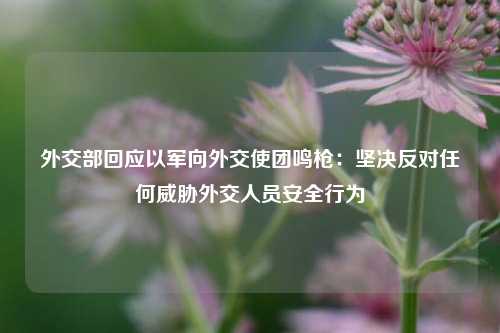 外交部回应以军向外交使团鸣枪：坚决反对任何威胁外交人员安全行为  第1张