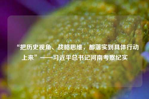 “把历史视角、战略思维，都落实到具体行动上来”——习近平总书记河南考察纪实  第1张
