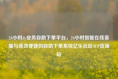 24小时dy业务自助下单平台	，24小时智能在线客服与高效便捷的自助下单系统亿乐社区SUP货源站  第1张